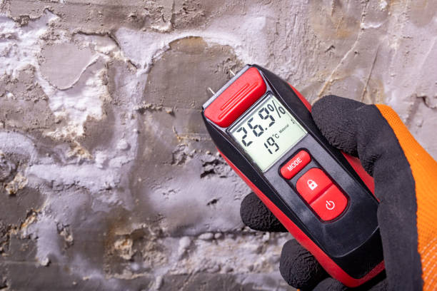 Best Fast Mold Removal  in Ethete, WY