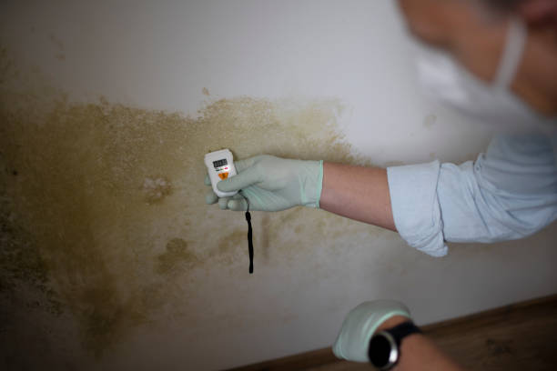 Best Mold Cleaning Services  in Ethete, WY