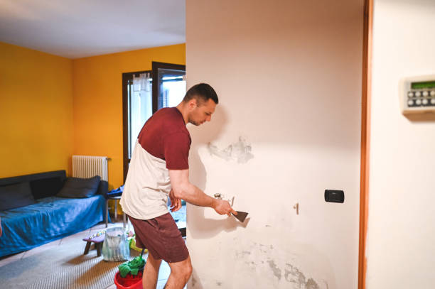 Best Mold Removal Near Me  in Ethete, WY